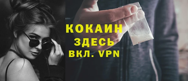 дурь Гусев